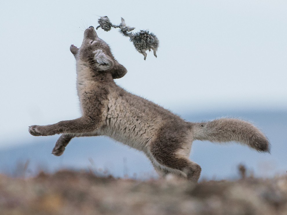 National Geographic: лучшие фотографии мая National Geographic: лучшие фотографии мая