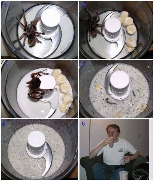 Прикольные картинки (117 фото)