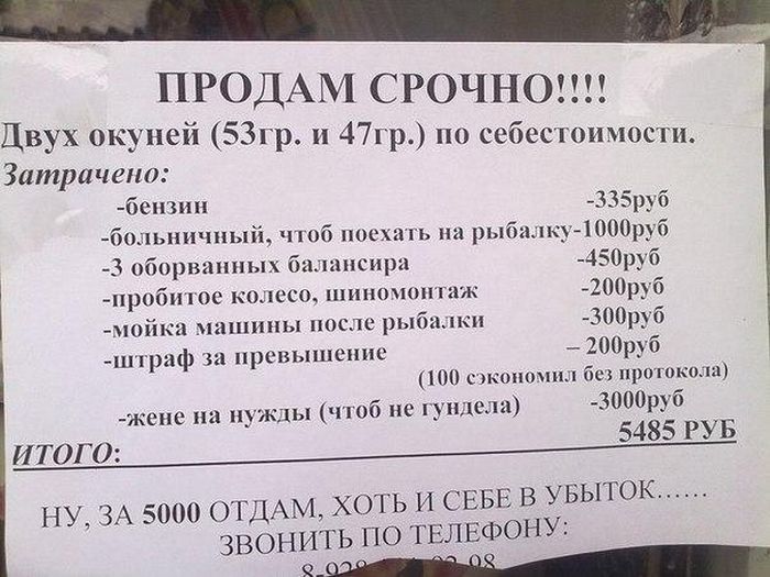 Порция картинок