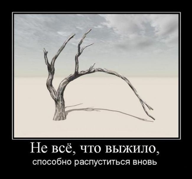 Демотиваторы
