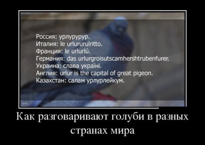 Демотиваторы