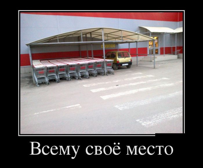 Демотиваторы