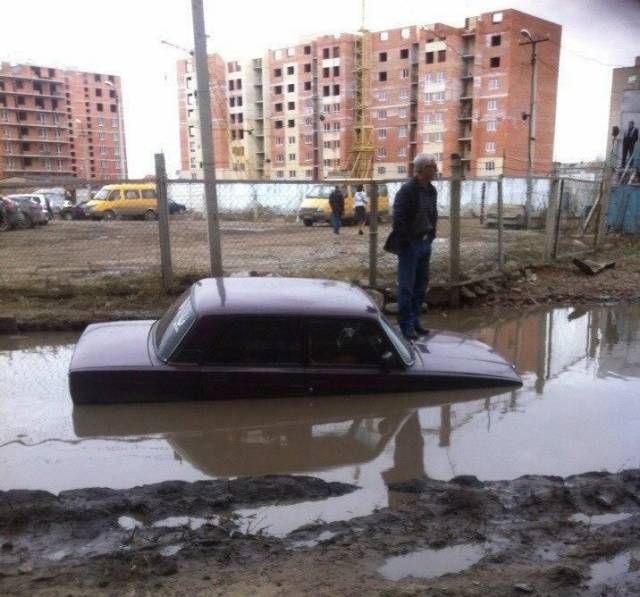 Прикольные картинки