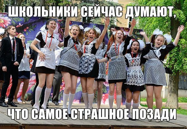 Прикольные картинки