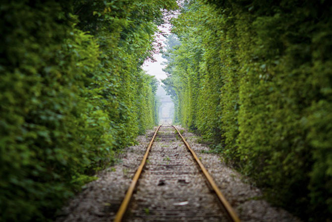 Неделя в фотографиях (25 фото)