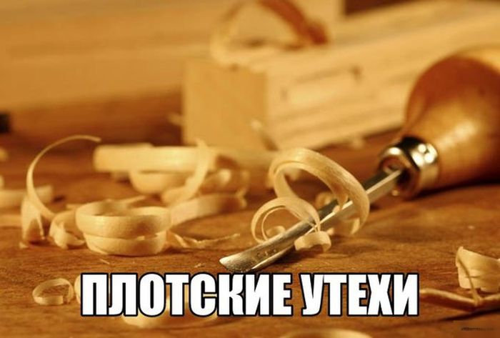 Порция картинок