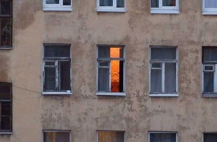 Порция картинок