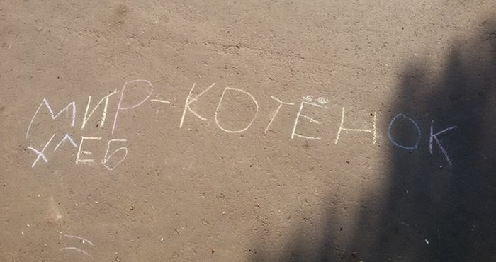 Порция картинок