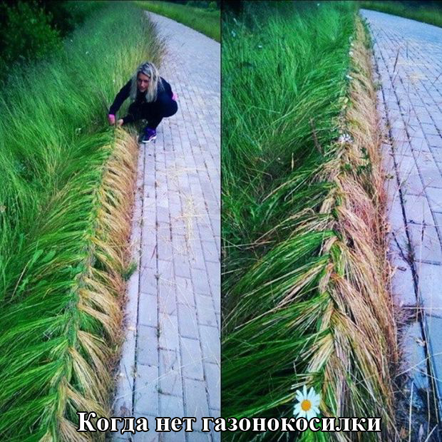 Порция картинок