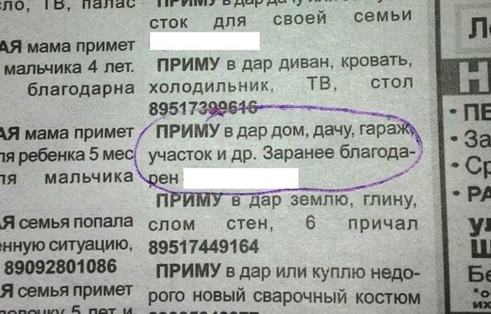 Порция картинок