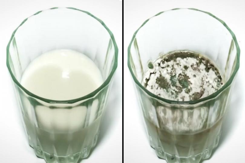 Как выглядят продукты через некоторое время Как выглядят продукты через некоторое время