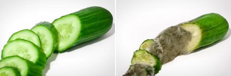 Как выглядят продукты через некоторое время Как выглядят продукты через некоторое время