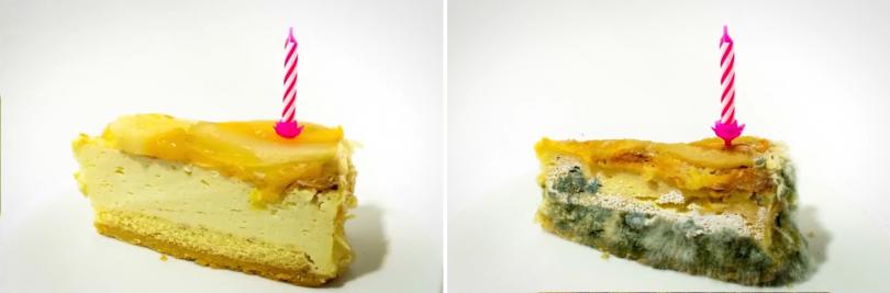 Как выглядят продукты через некоторое время Как выглядят продукты через некоторое время
