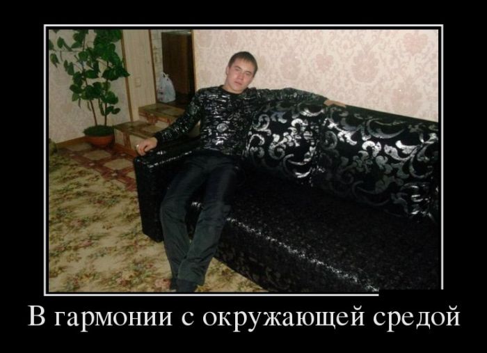 Демотиваторы