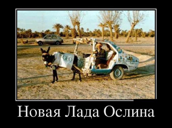 Демотиваторы