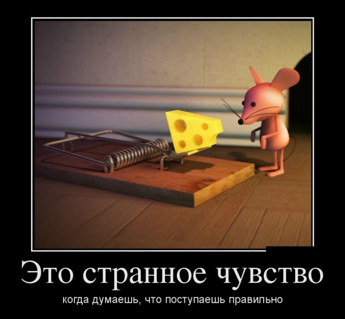 Демотиваторы