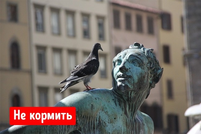 10 странных вещей, которые запрещены в разных уголках мира