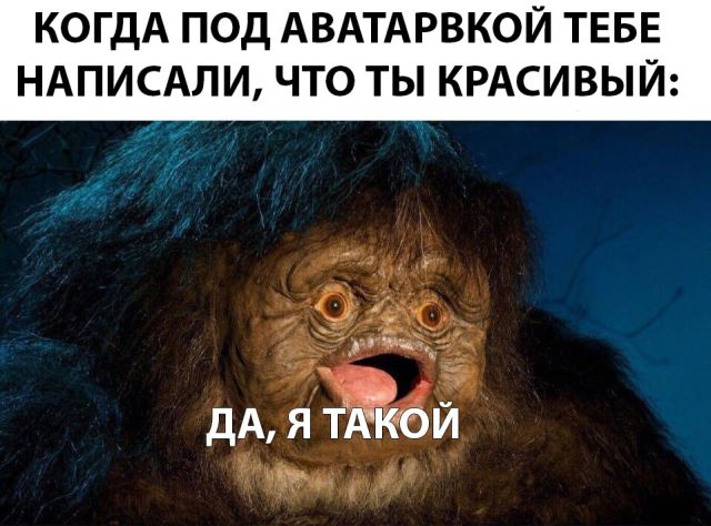 Прикольные картинки