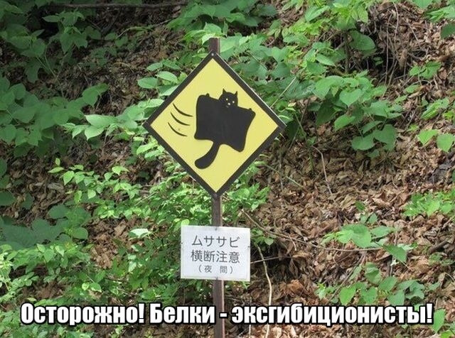 Прикольные картинки