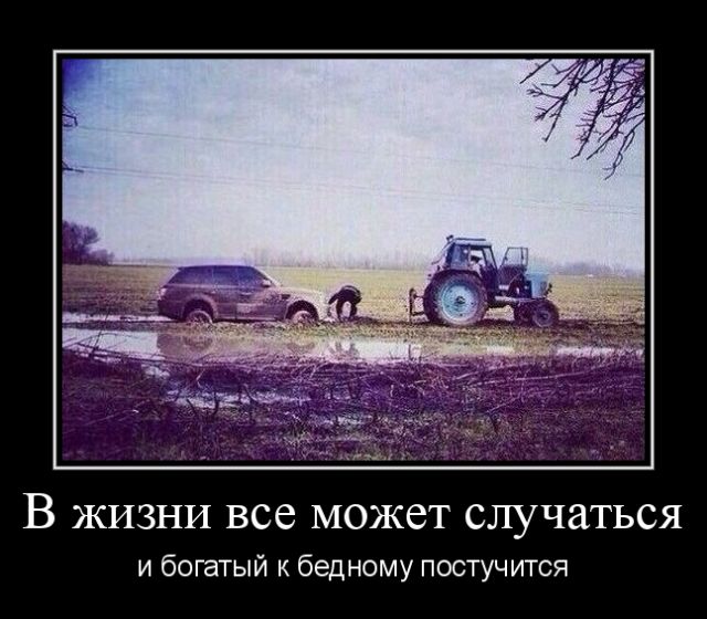 Демотиваторы