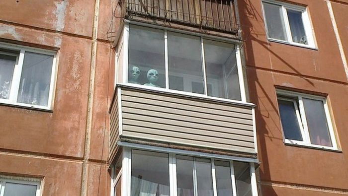 Прикольные картинки