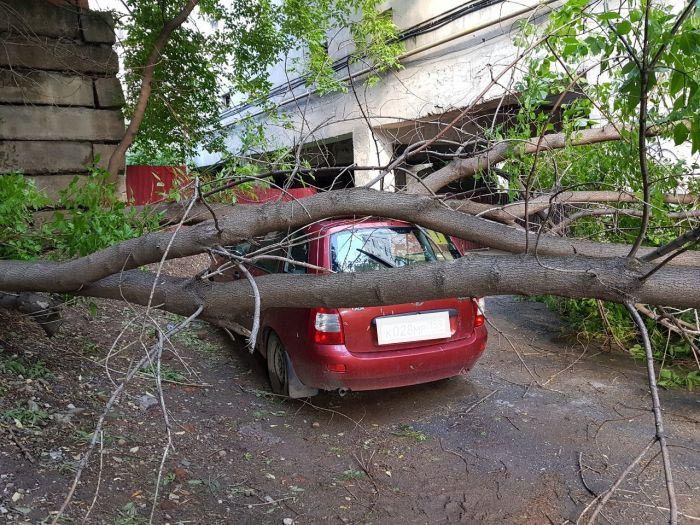 Справедливость восторжествовала