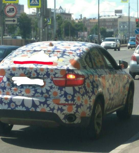 Прикольные картинки