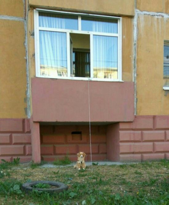 Прикольные картинки
