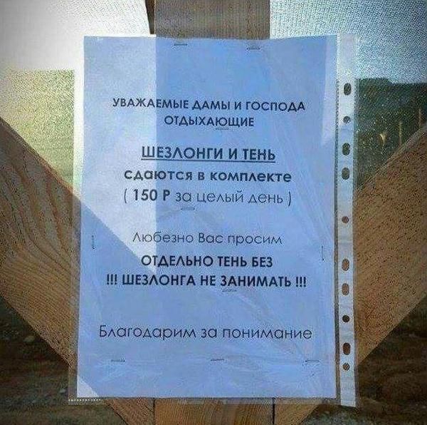 Прикольные картинки