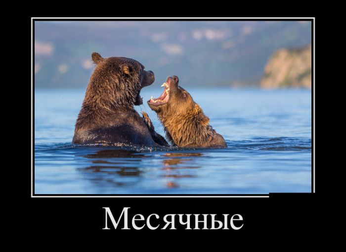 Демотиваторы