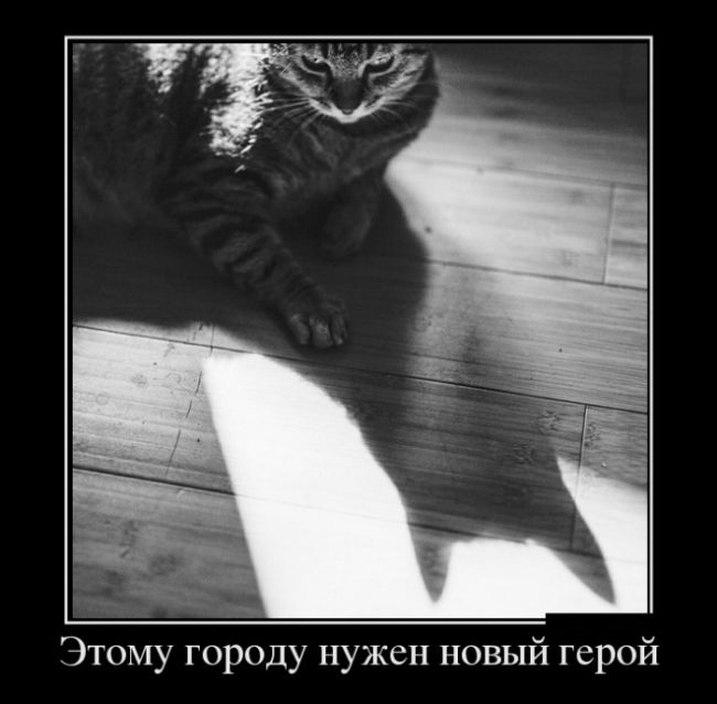 Демотиваторы