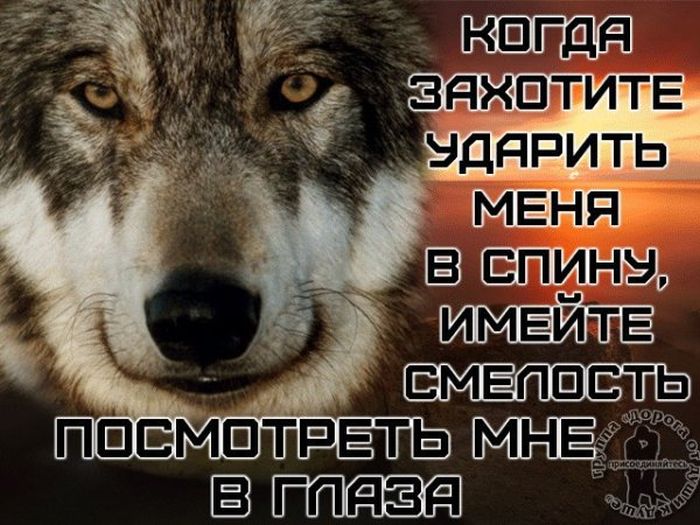Приколы из «Одноклассников»