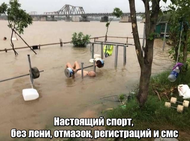 Прикольные картинки