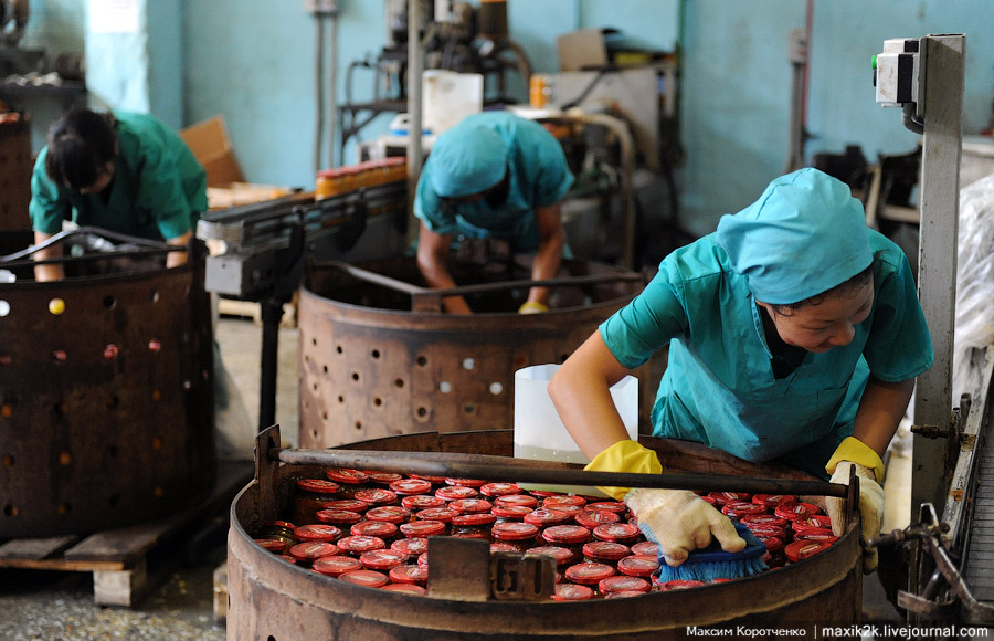 Как делают консервы (18 фото)