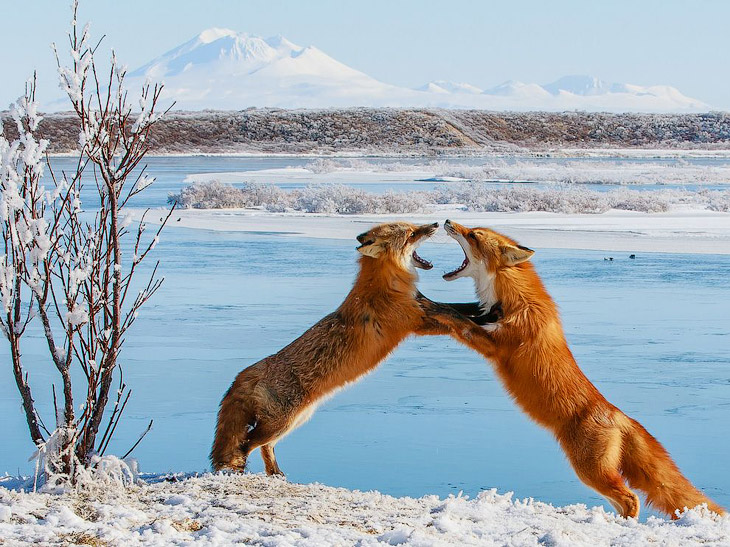 National Geographic: лучшие фотографии августа