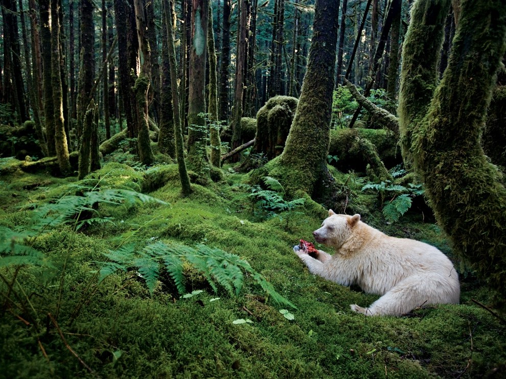 National Geographic: лучшие фотографии августа
