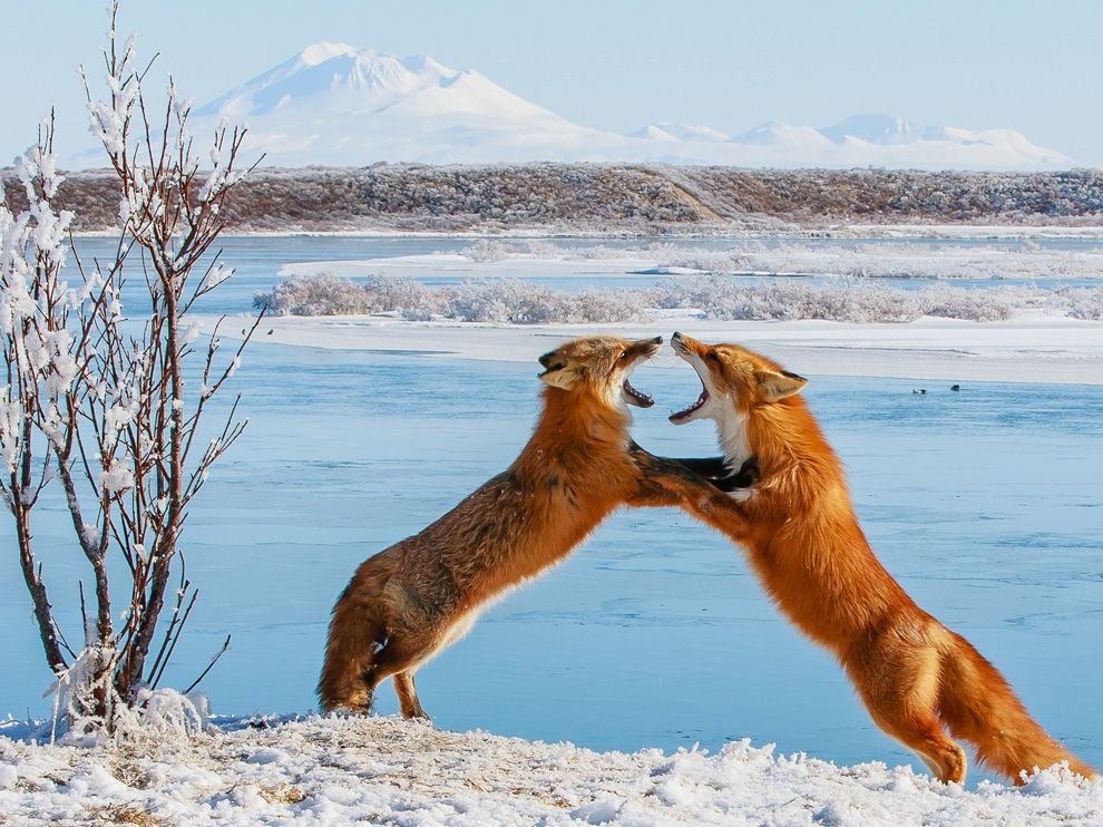 National Geographic: лучшие фотографии августа