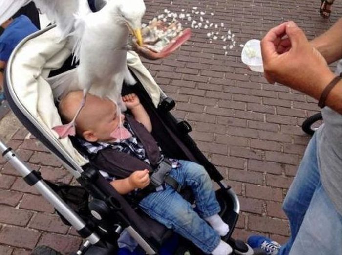 Фотобомбы