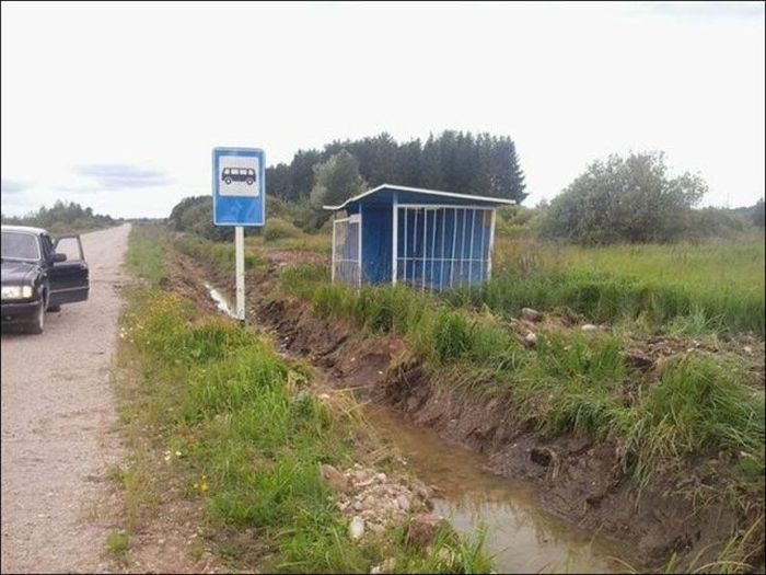 Прикольные картинки