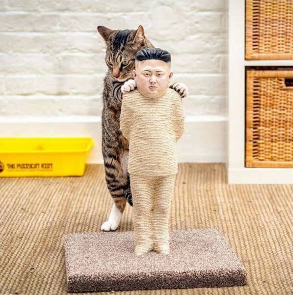 Подборка картинок