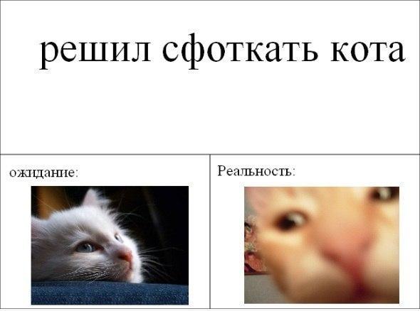 Веселые комиксы (33 фото)