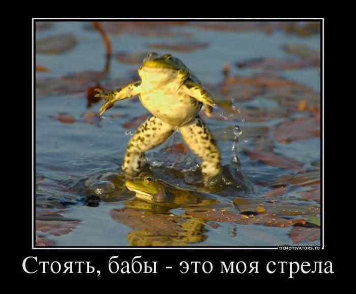 Демотиваторы (45 фото)
