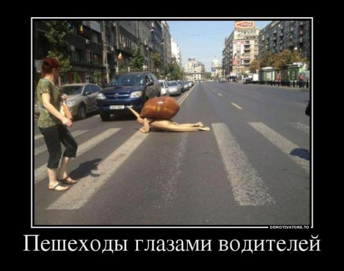 Демотиваторы (45 фото)