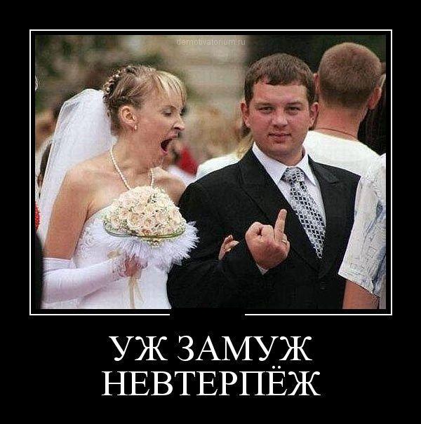 Демотиваторы (45 фото)