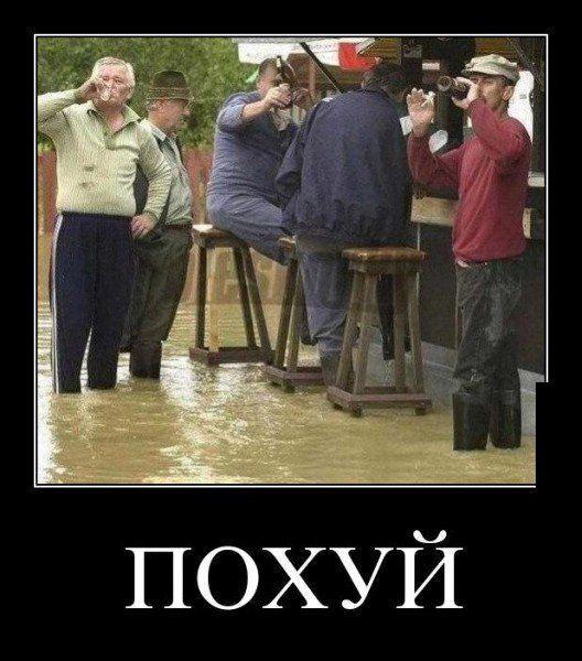 Демотиваторы (45 фото)