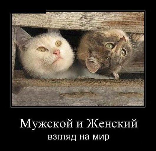 Демотиваторы (45 фото)