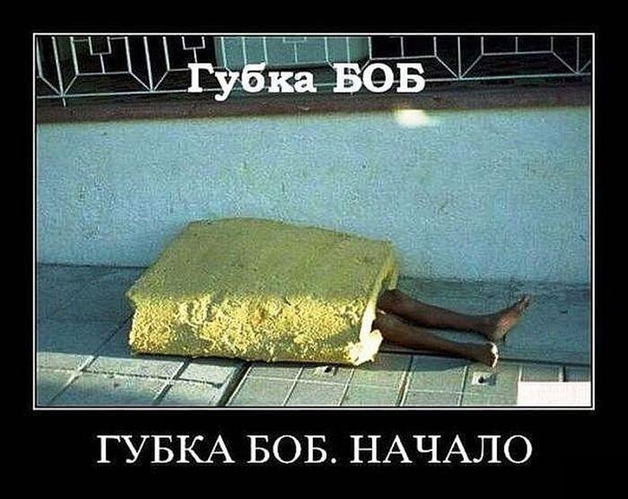 Демотиваторы (45 фото)