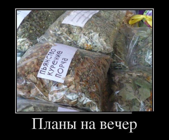 Демотиваторы (45 фото)
