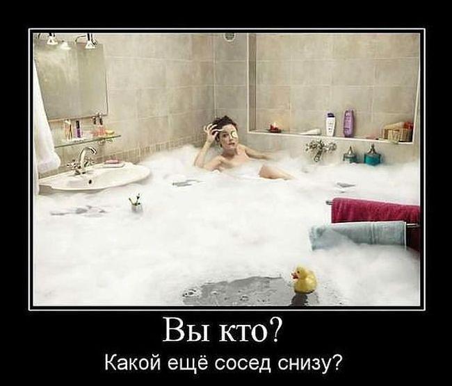 Демотиваторы (45 фото)