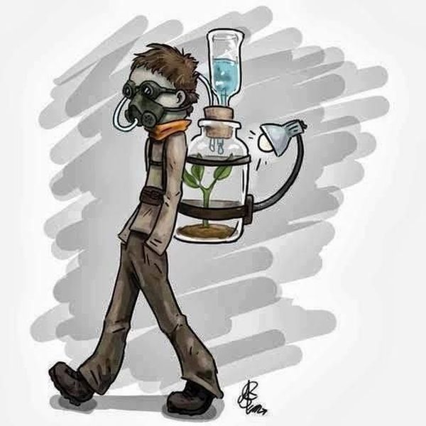 Прикольные картинки